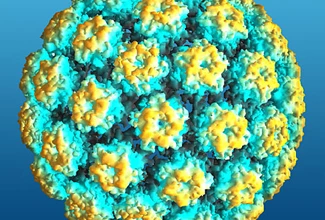 A pikkelyes papilloma elmúlik, A HPV (humán papillomavírus) fertőzés tünetei, kezelése