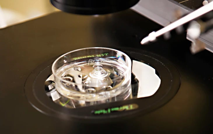 Odborníci hlásí: vytvořili jsme první laboratorní spermii